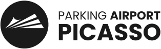 picasso_logo 1